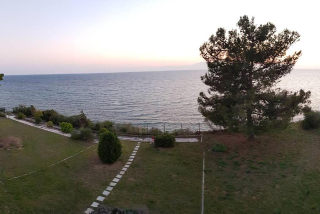 Ferienwohnung Sunshine House Offering Spectacular Views To Olymp A Nea Iraklia Exterior foto